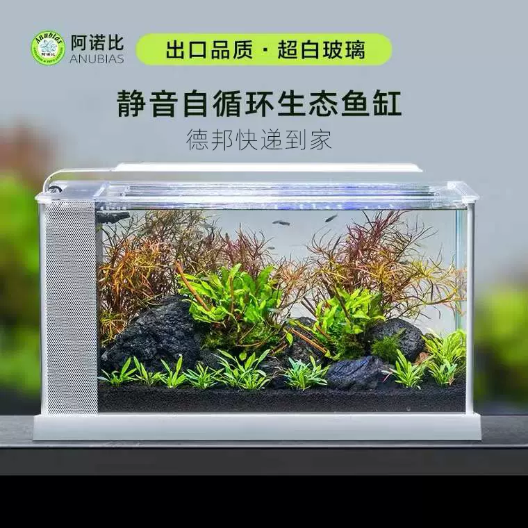 阿諾比側濾魚缸水族箱中型家用長方形水草缸造景自動循環玻璃魚缸 阿諾比側濾魚缸水族箱中型家用長方形水草缸造景自動循環玻璃魚缸