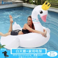 Intex White Swan+Electric Pump весит 2 кг