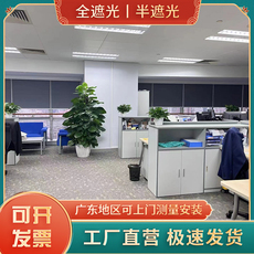 Шторы рулонные