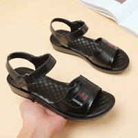 Черный (коллекция+автомобиль по магазинам = доставка чулок)