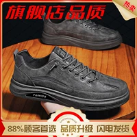 2668 Grey [Flag Liang]