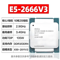 E5-2666V3 【10-ядерный 2,9 ГГц】