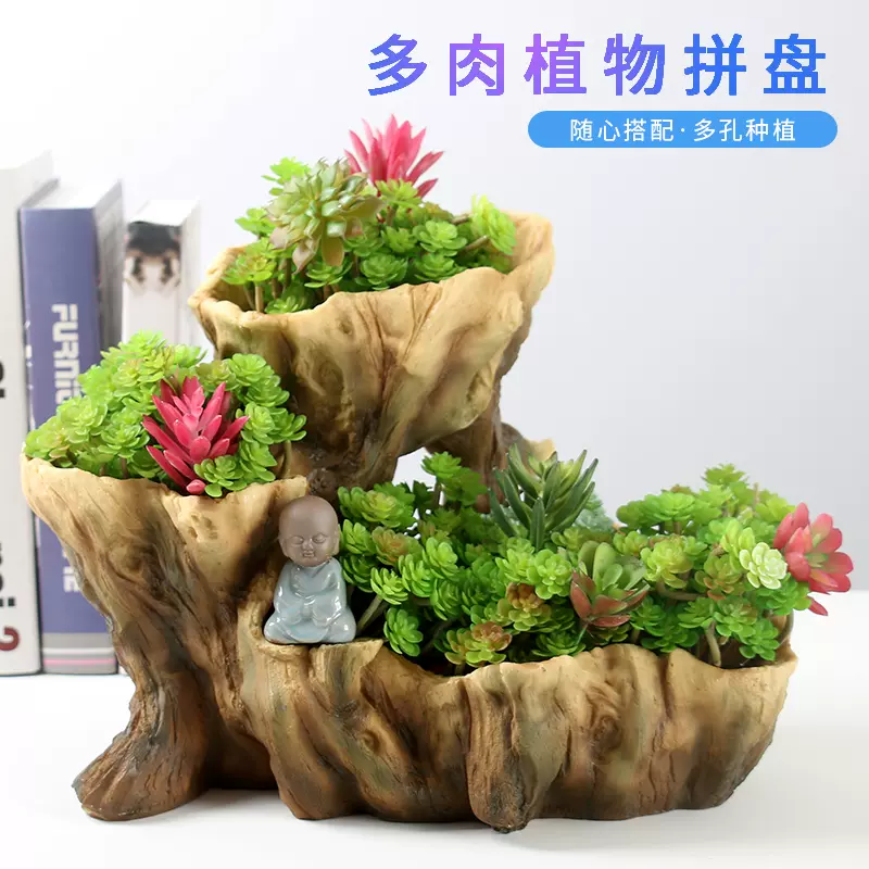 多肉园艺配件营养土铺面白色石头彩色水彩石装饰专用盆面植物肥料