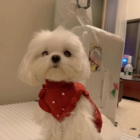 Красный свитер