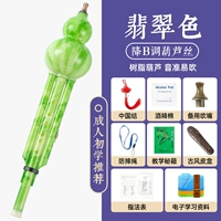 Emerald Color Drop B Tuned Set Meal Four