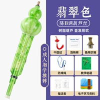Emerald Color Drop B Tuned Set Meal Two