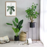 Симуляция скандинавского растения Творческая гостиная в помещении декоративные цветочные декоративные гостиные фальшивые зеленые посадки