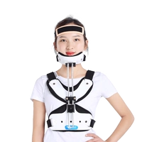 Голова, шея, бюстгальтер для взрослых (отправлено на обычную экспресс -доставку)