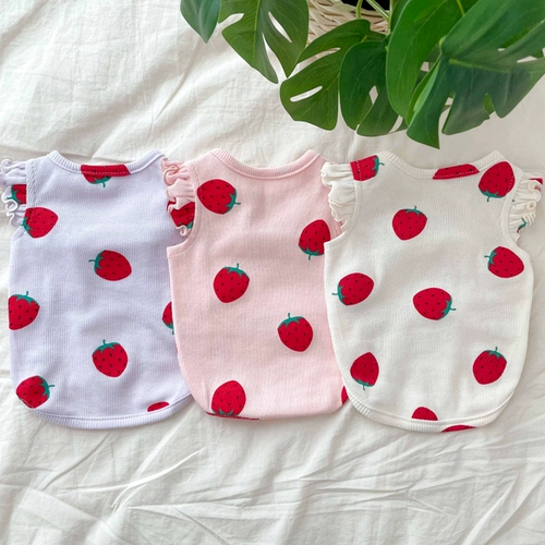 Летняя питомец Bomei Snowy Capital York Summer Cat Small Inukudi Bie Dog Одежда собаки