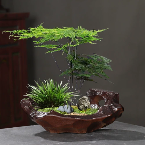 Ретро имитация камня 盆 景 Bonsai Bonsai Living Bamboo Special Flower Pot Ceramic Creative Personal