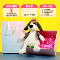 [Запись -Forcording Savings] Подарочная коробка, загружающая собак (USB -зарядка+обучение, выступление+200 песен)