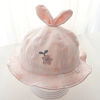 Буд розовый четыре сезона