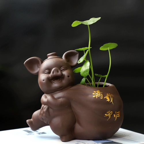 Керамическое гидропонное растение водное растение фиолетовое песочное цветочное горшок зеленый ваза