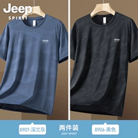 07 Deep Blue Grey + 06 Black [Promotional 2-часовой пакет]