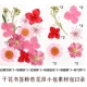 12 розовых цветочных поля маленькие сумки