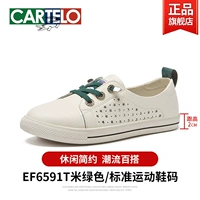 Бежевый-Полый-6591T