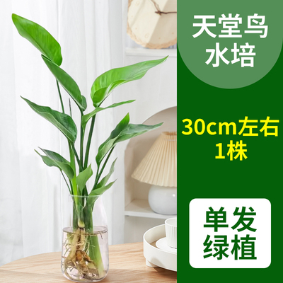 2024年11月28日更新【万能白菜价】的图片 第55张