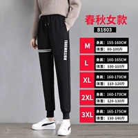 【Весна и осенний период】 B1803