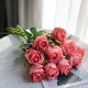 10 установок болгарской розы (Rose Red)