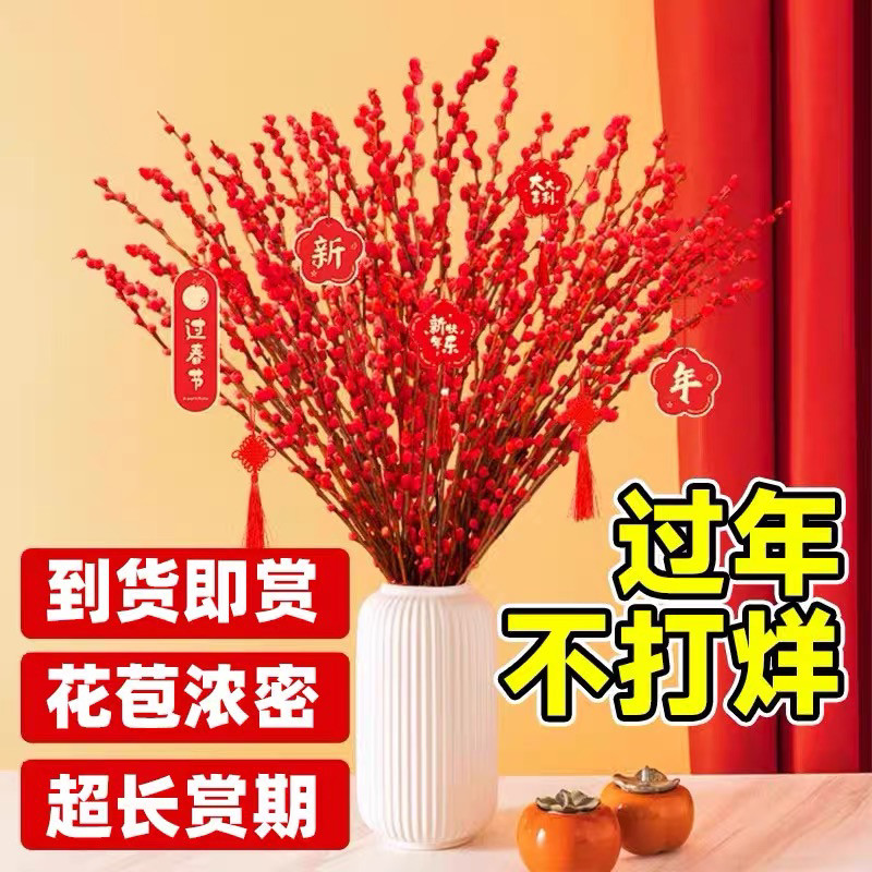 银柳干花鲜枝真花带花发货红色年宵花卉室内装饰摆设摆件水培植物