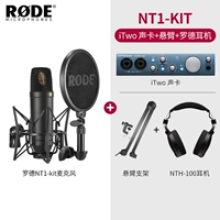 NT1 Kit Standard Black+Consilever Cracket+Sound Card Itwo+Род -гарнитура