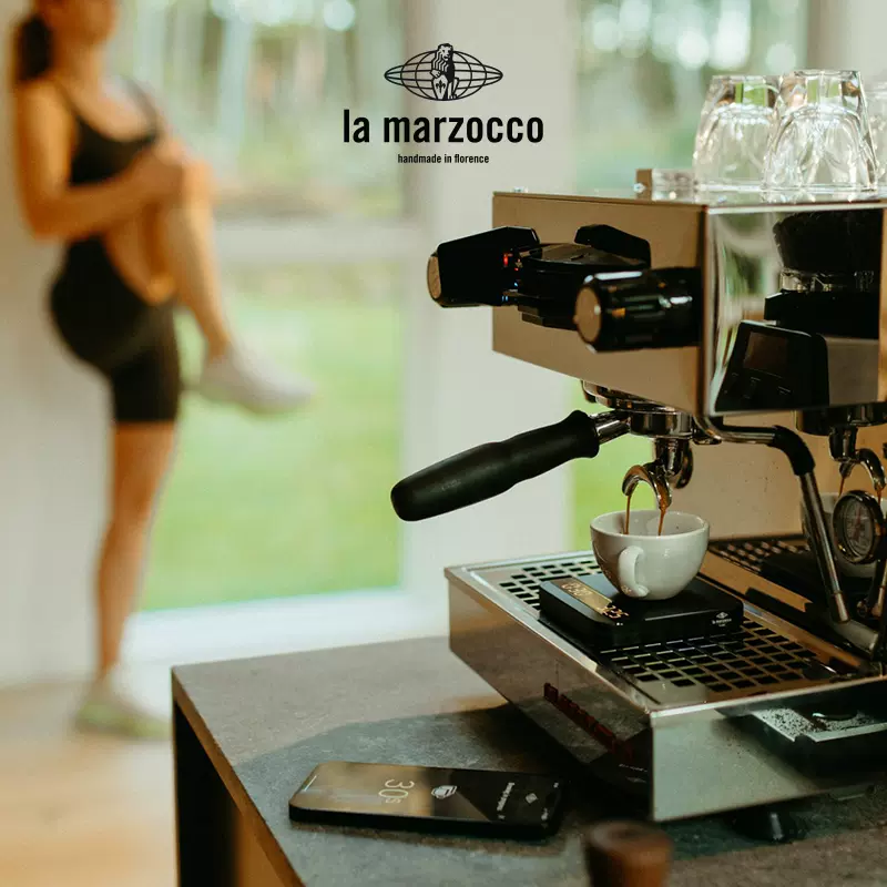 lamarzocco linea mini意大利原装进口辣妈商用意式半自动咖啡机-Taobao