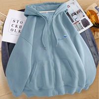 Haze Blue-Patch Flower K