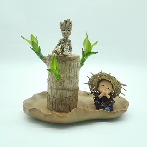 Бразильский деревянный горшок с водой, Мини -Айд -Грут Зеленый завод четыре сезона вечнозеленые древесные деревянную полосу бутона рост гидропонные растения