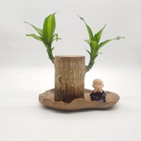 Диаметр бразильского дерева 6-7 см + тазик с листьями лотоса + маленький монах