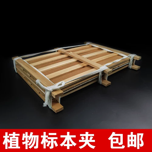 Образец зажима с зажимом дерево листья