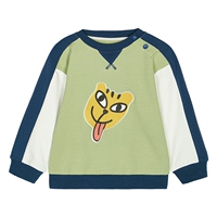 WB2212001 Нил Грин