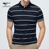 2092 Тибетский Цин