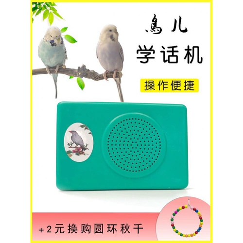 Птичья машина обучения машина обучения Talking Machine Alectic Learning Match