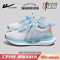 Белый и синий 【Обновление версии】