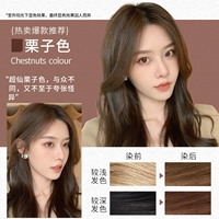 Цвет однокомбнового цвета [каштановый цвет] покрывает белые волосы 500 мл большие емкости