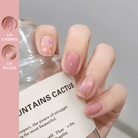 64#Hokkaido Sakura+62#Fantasy Star