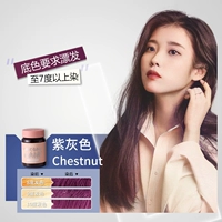 Каштан коричневый каштан