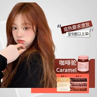 Кофейный верблюд Кармел