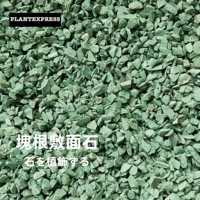 500 г зеленого тросального камня