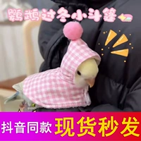 Пион красный