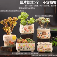 SK Sunshine Flowers Комбинация 5
