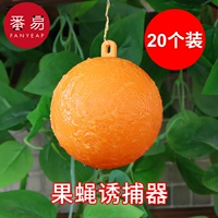 20 фруктовых мух.