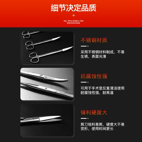 Медицинские ножницы из нержавеющей стали Прямой изгиб медсестра с хирургической хирургической офтальмология