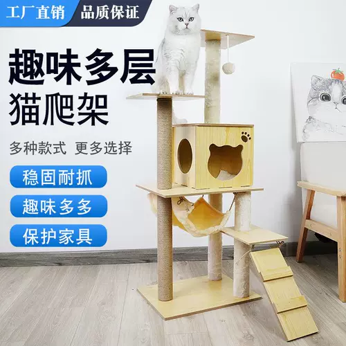 Кошачья стойка