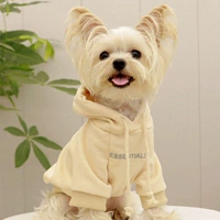 Абрикосовая тонкая толстовка