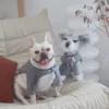 Товары от KiKi PET