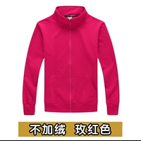 Без бархатной розы красной (хранение и покупка и доставка страхование)