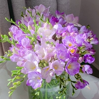 A3 Purple Xiangxuelan 5 шаров+2 мешки Органические удобрения