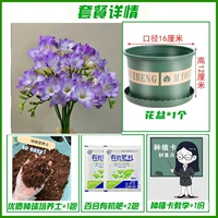 A3 Purple Xiangxuelan 10+ [набор удобрений почвы для горшков