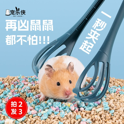 Клип хомяков схватил мыши для мыши гомосека